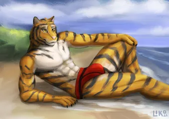 Tiger wearing red speedo on the beach